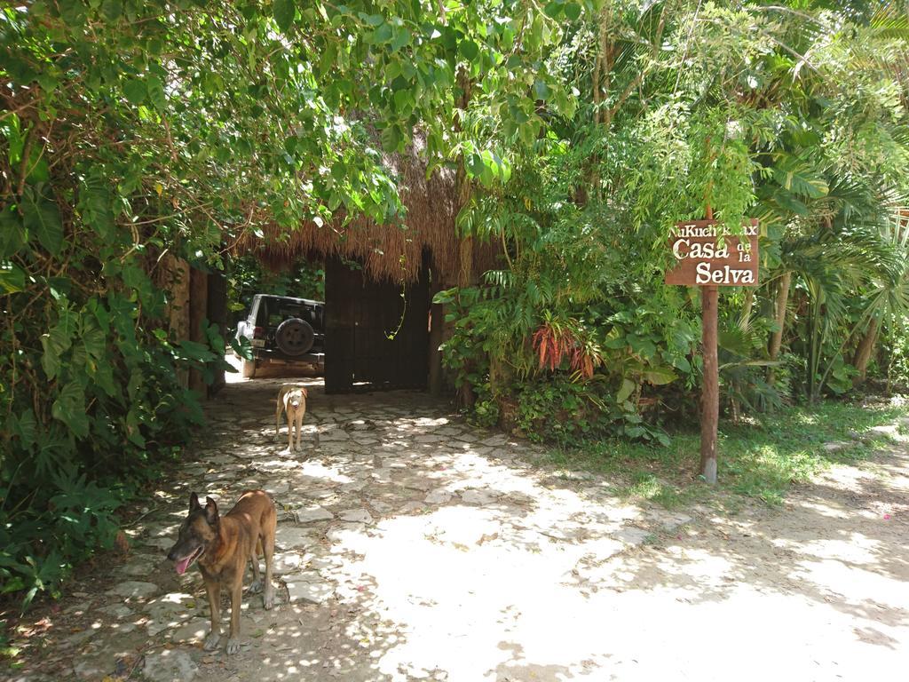 Jungle Lodge Cancun Aeropuerto Buitenkant foto